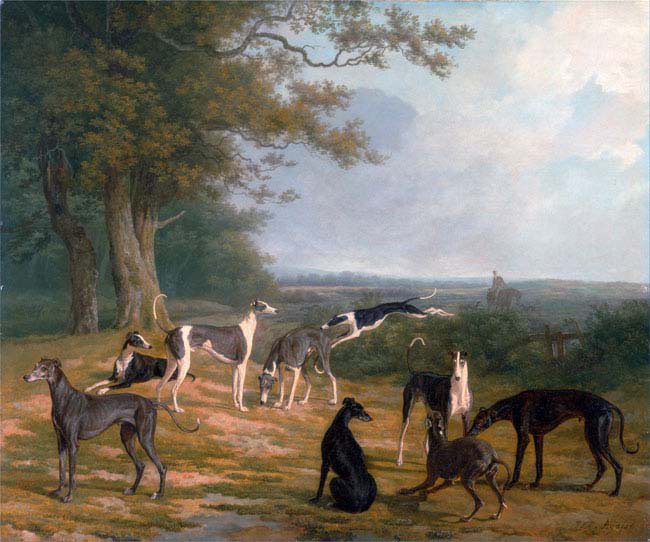 greyhounds in a landscape